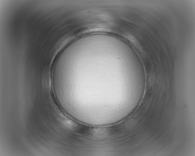 X0000070241274200606091325