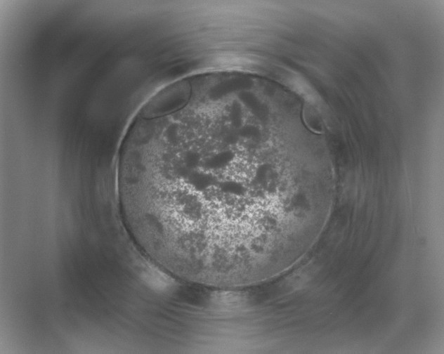 X0000070241275200606091325