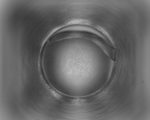 X0000070241277200606091325