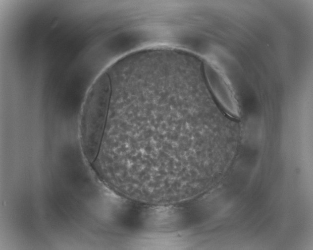 X0000070241279200606091325