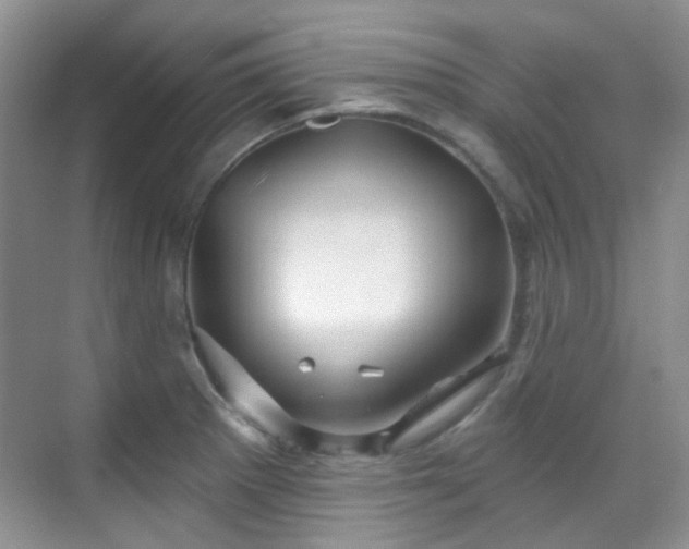 X0000070241281200606091325