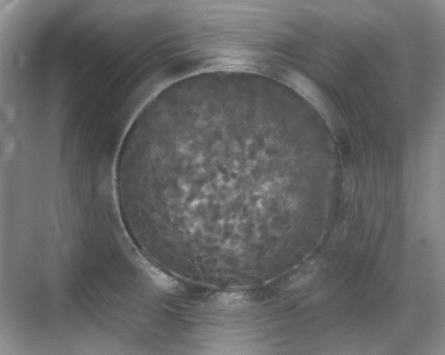 X0000070241283200606091325