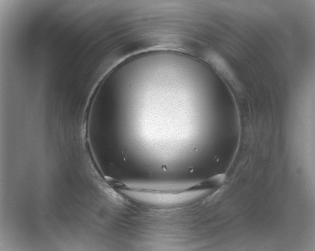 X0000070241284200606091325