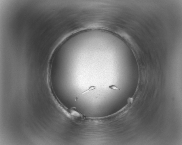 X0000070241286200606091325