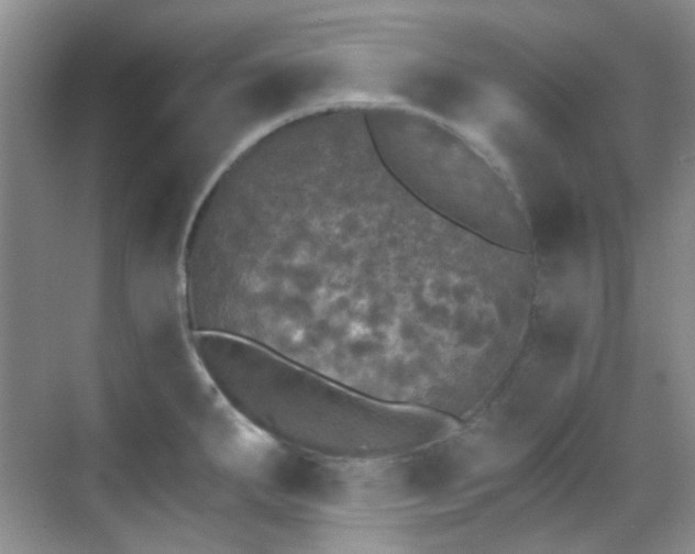 X0000070241287200606091325