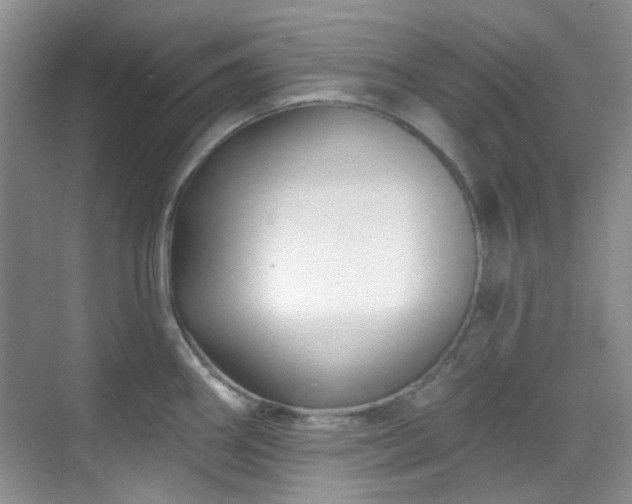 X0000070241290200606091325