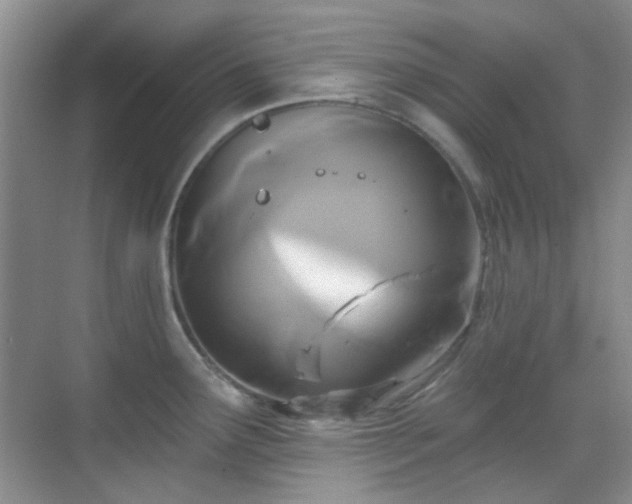 X0000070241291200606091325