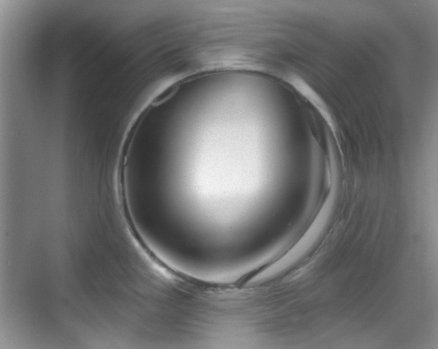 X0000070241293200606091325