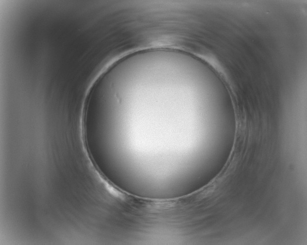 X0000070241294200606091325