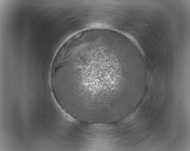 X0000070241295200606091325