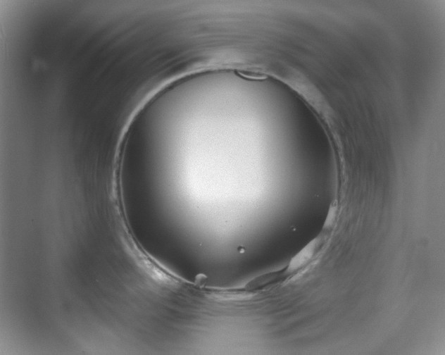 X0000070241296200606091325