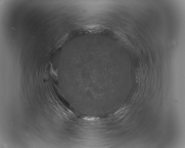 X0000070241298200606091324