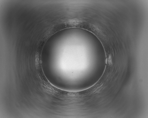 X0000070241299200606091324