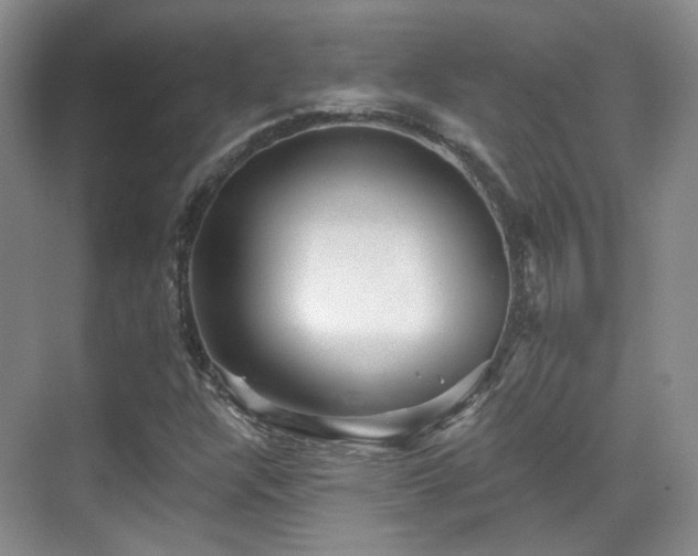 X0000070241304200606091324