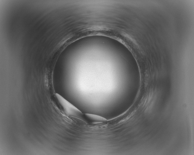 X0000070241305200606091324