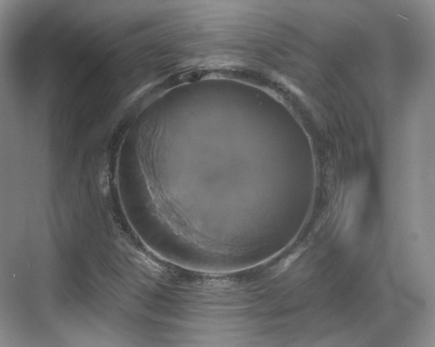 X0000070241306200606091324