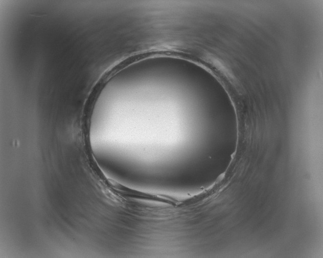 X0000070241308200606091324