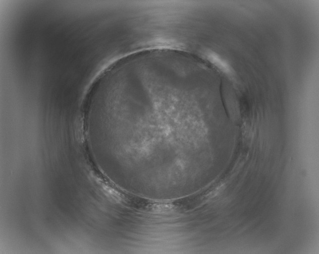 X0000070241310200606091324