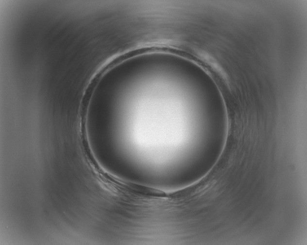 X0000070241316200606091324