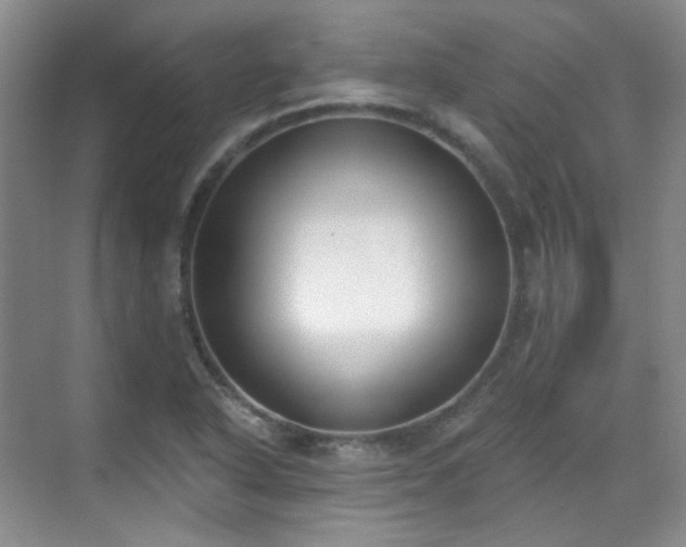 X0000070241318200606091324