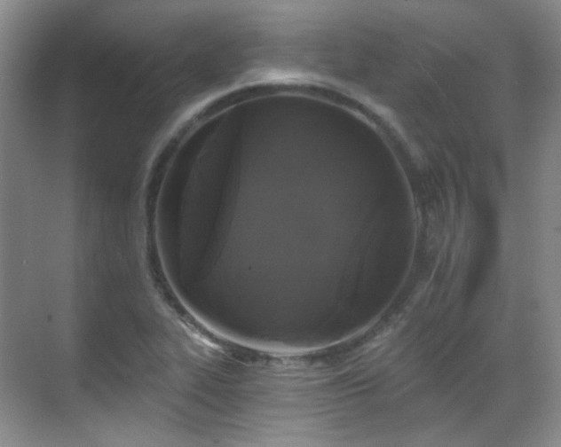 X0000070241319200606091324