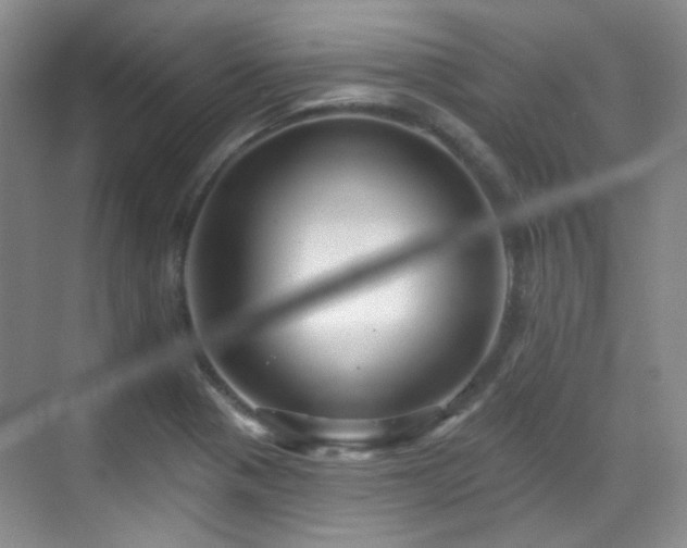 X0000070241321200606091324