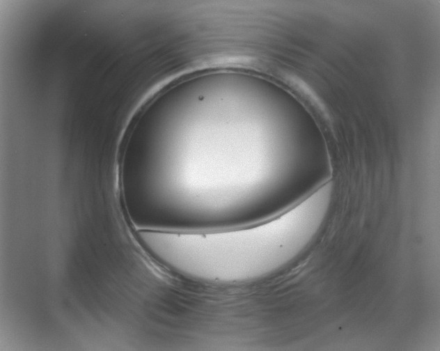 X0000070241324200606091325