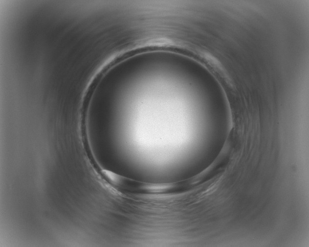 X0000070241326200606091325