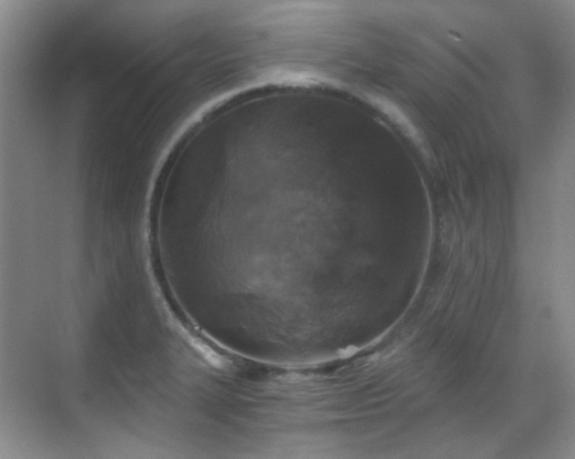 X0000070241327200606091325