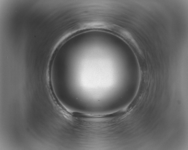 X0000070241328200606091325