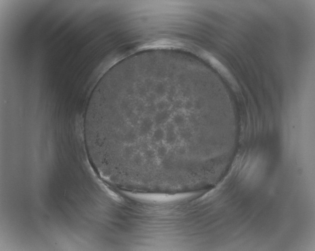 X0000070241329200606091325