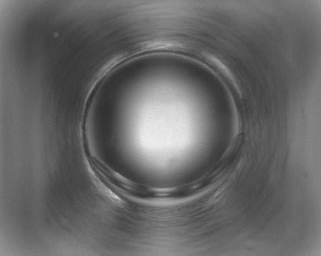 X0000070241330200606091325