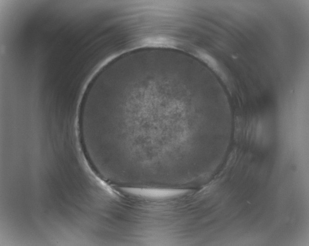 X0000070241331200606091325