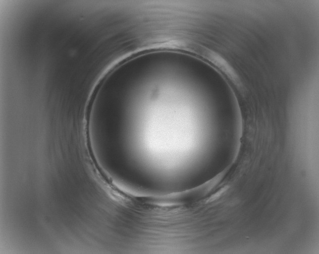 X0000070241332200606091325