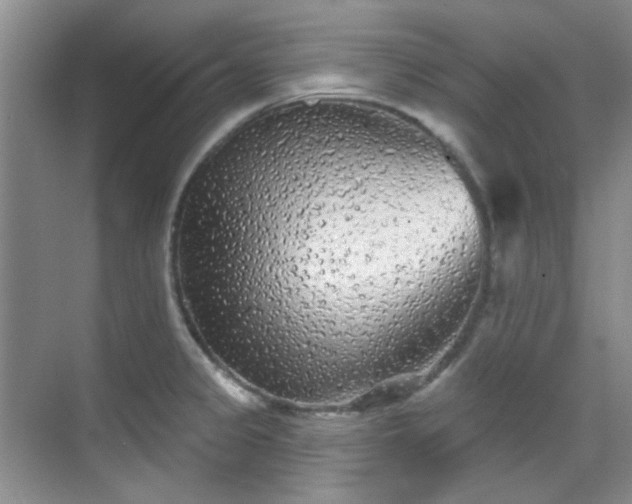 X0000070241333200606091325