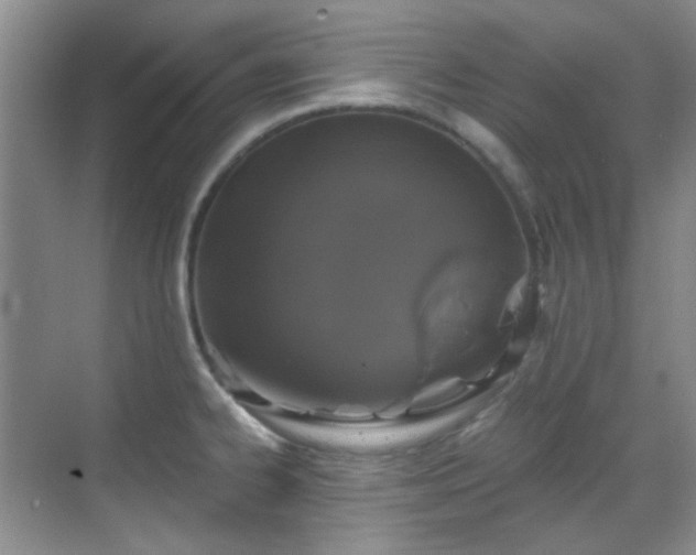 X0000070241334200606091325