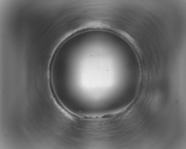 X0000070241335200606091325