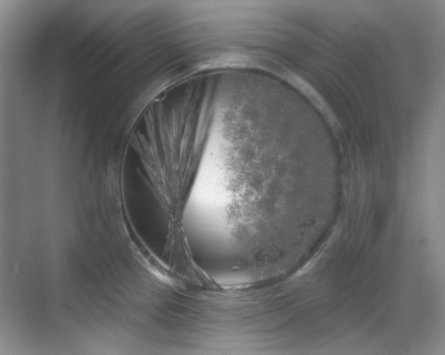 X0000070241337200606091325