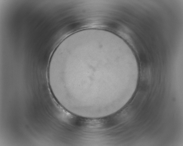 X0000070241338200606091325