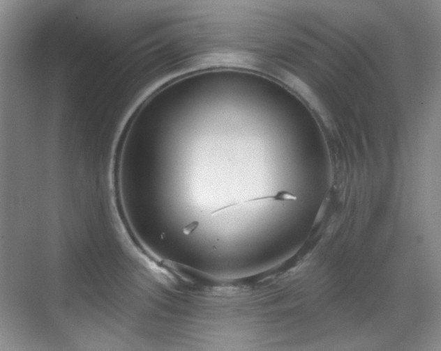 X0000070241339200606091325