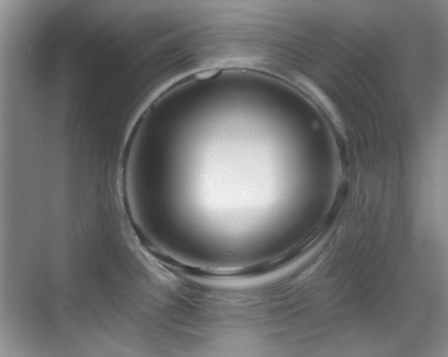 X0000070241340200606091325