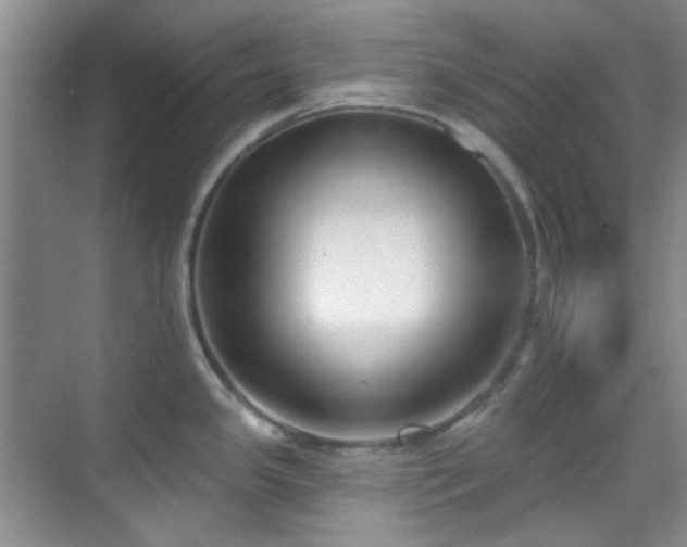 X0000070241341200606091325