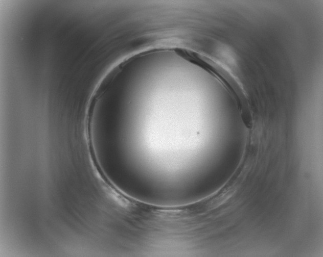 X0000070241342200606091325