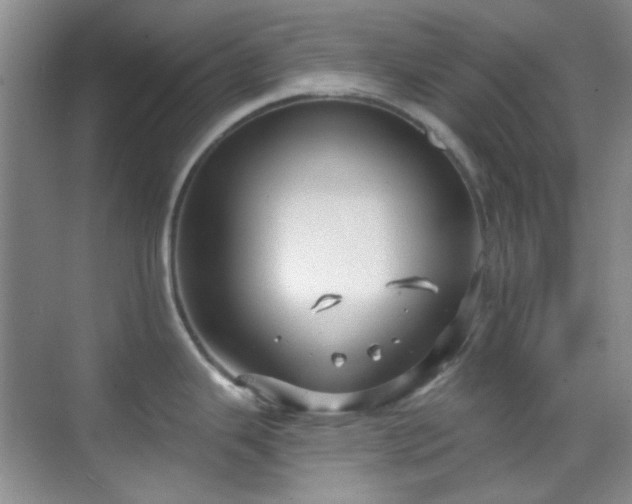 X0000070241343200606091325