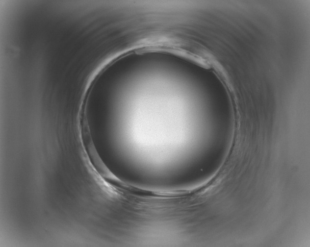 X0000070241344200606091325