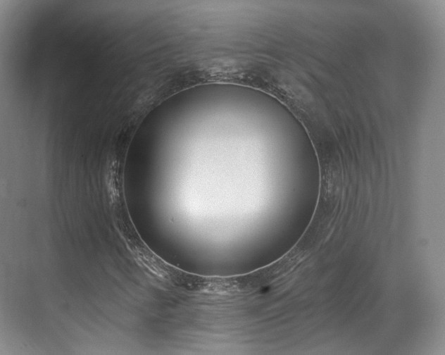 X0000070241346200606091324