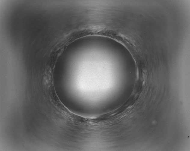 X0000070241349200606091324