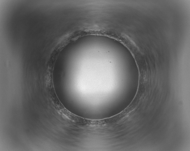 X0000070241350200606091324