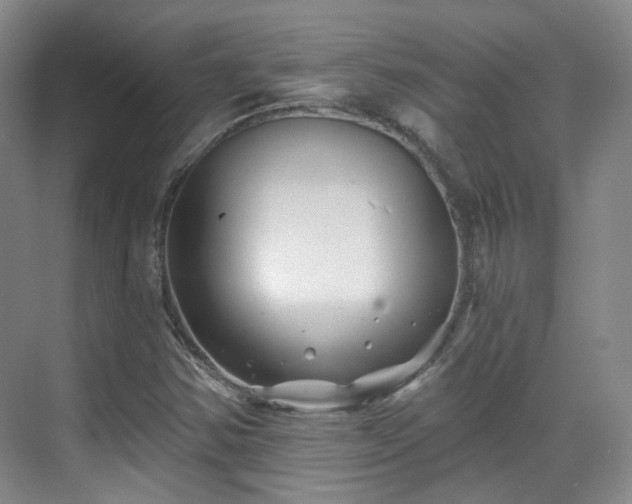 X0000070241354200606091324