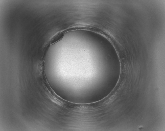 X0000070241355200606091324